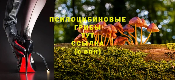соль ск Аркадак