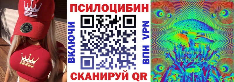 Псилоцибиновые грибы Cubensis  Мирный 